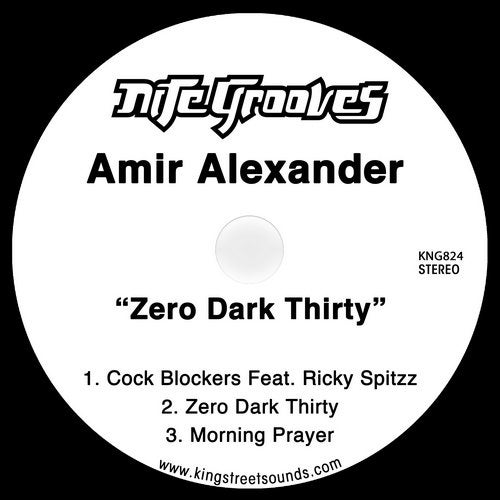 Amir Alexander, Ricky Spitzz – Zero Dark Thirty [KNG824]